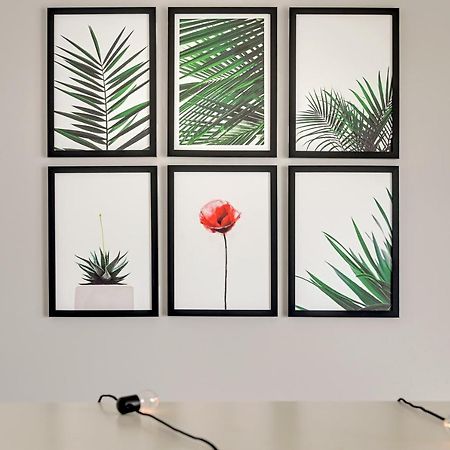 Studio Baltica Brzezno Gdansk Dış mekan fotoğraf